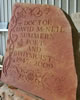 Memorials: Dr David Summers